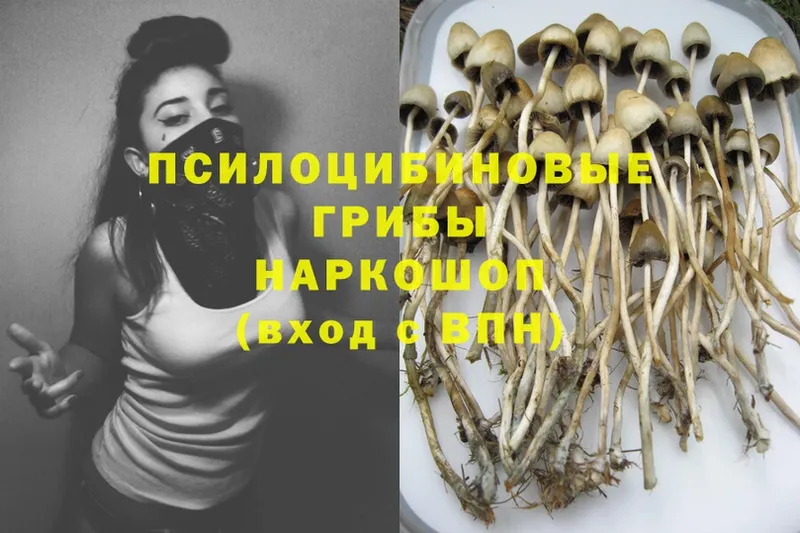 Псилоцибиновые грибы MAGIC MUSHROOMS Верхний Тагил